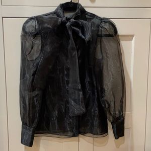 Zara Organza Bow Blouse
